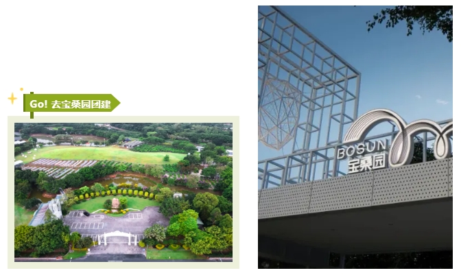 1751527802128488.png 1.png